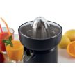 Ariete CITRUSPRÉS 417.BK