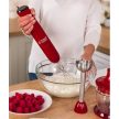 Russell Hobbs BOTMIXER 3in1 24700-56