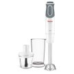 Tefal BOTMIXER HB641138
